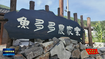 乡村振兴“好支部” 基层治理“金钥匙”[00-01-31--00-01-39]