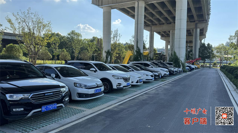图片 9