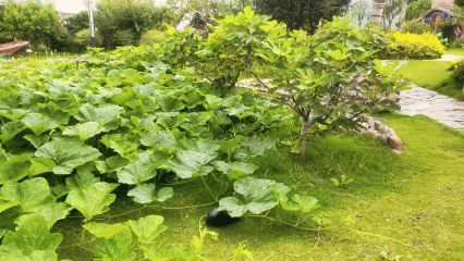 7月29日(1)