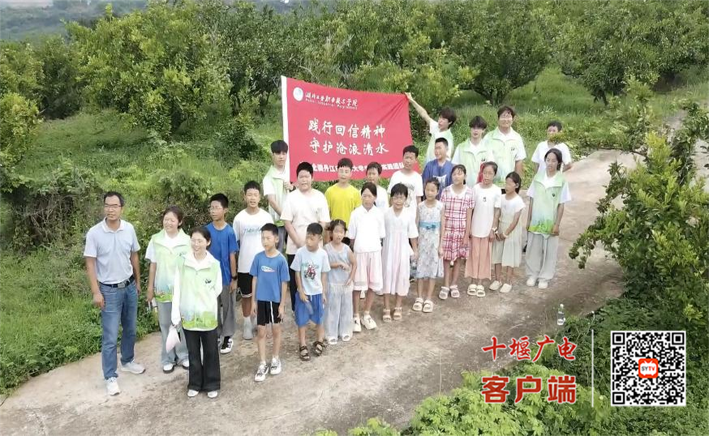 图片15