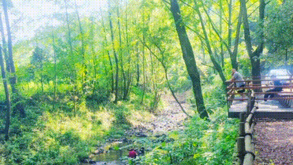 copy_496F755E-A2EB-40A3-9D2E-DC434BB520C6
