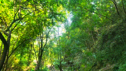 copy_1AB0E47C-BC7D-4A35-A659-306597E8A24F