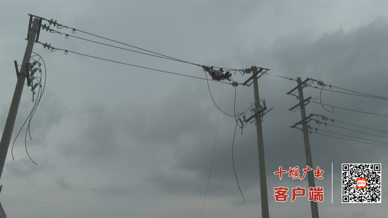 微信图片_2025-08-11_135311_477