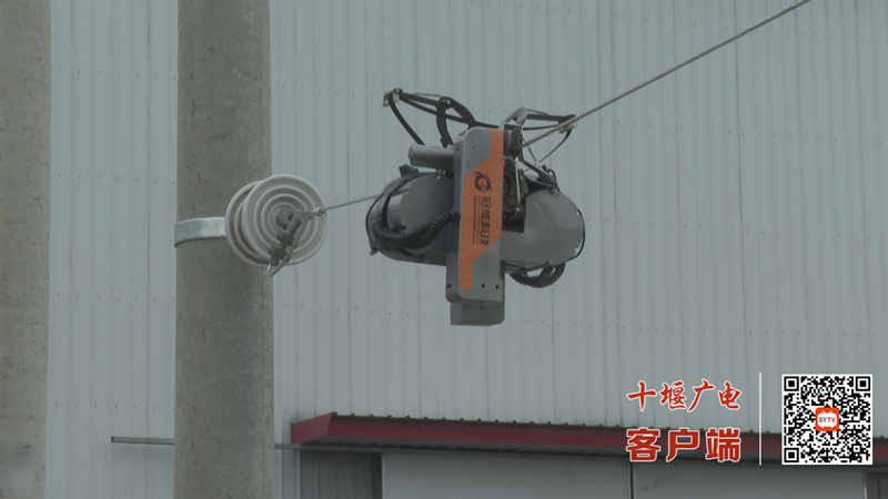 微信图片_2025-08-11_135610_883