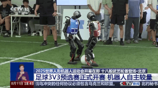 20250811212253341