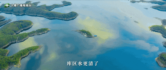 640_wx_fmt=gif&from=appmsg&tp=webp&wxfrom=5&wx_lazy=1 (3)