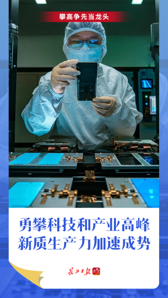 W020250819305528542991