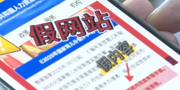 假网站