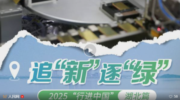 QQ_1755940298122