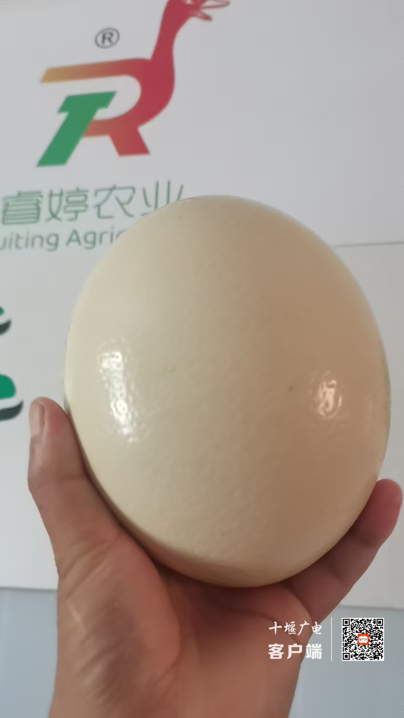 97BA78F4EA90045770AA18806AC48AFC