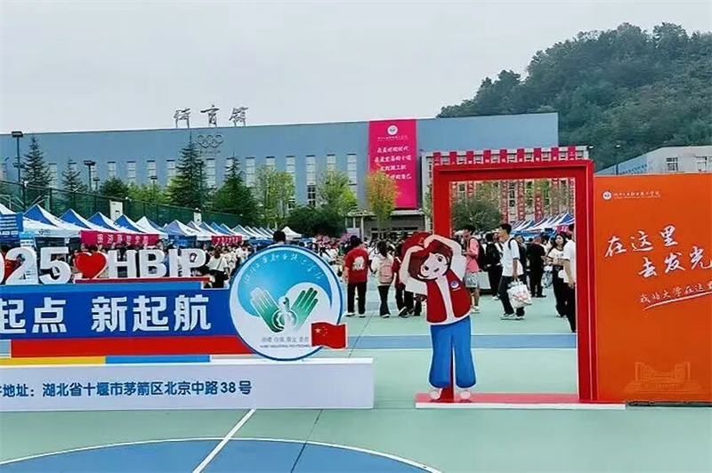 图片3