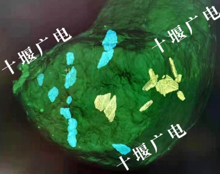 青龙山恐龙蛋化石的CT扫描图