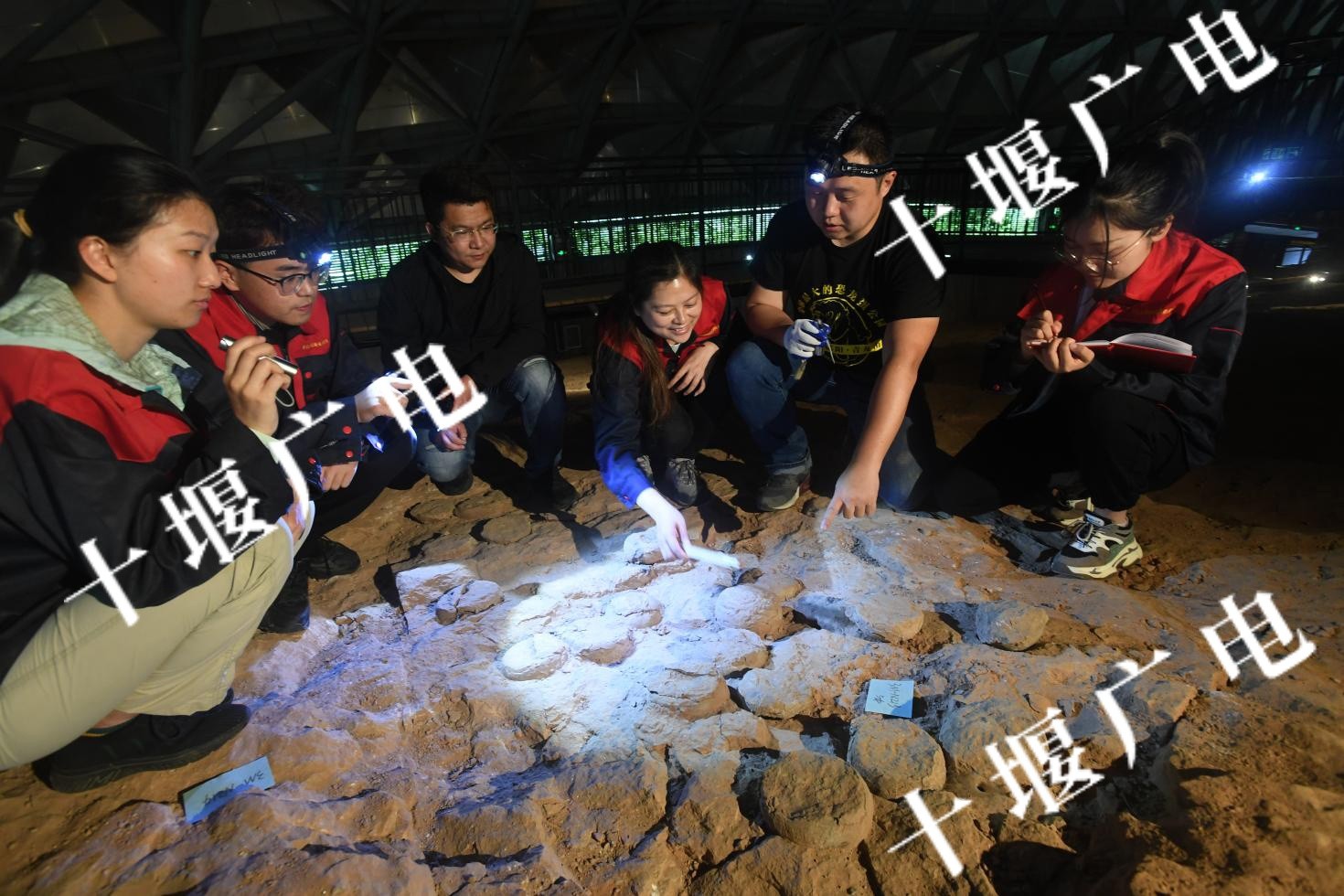 联合科研团队成员、湖北省地质科学研究院高级工程师赵璧坦言，对青龙山周边盆地恐龙蛋化石的年代学研究，将有助于厘清该类恐龙的活动范围与迁徙规律，为破解白垩纪恐龙灭绝前的生存状态提供更多线索_1