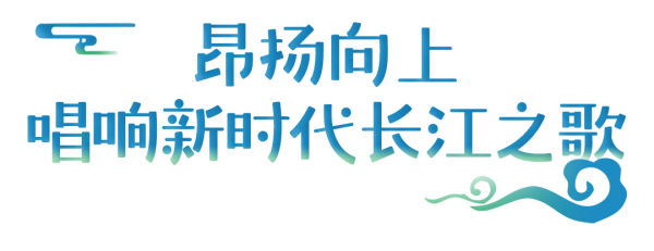 3cf2d7ec3e06da636a5102de220b8508