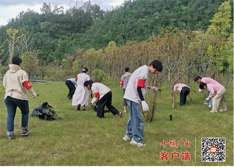 微信图片_20250912215050_583_23_副本