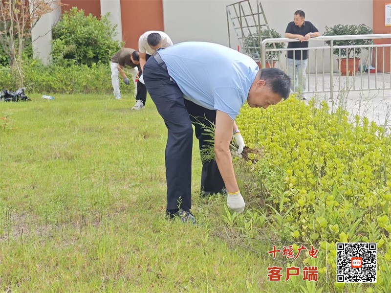 微信图片_20250912215104_585_23_副本