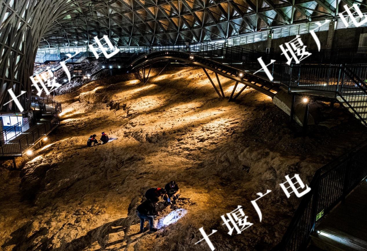 青龙山保护区恐龙蛋化石遗址馆内部