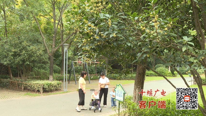 9月16日(11)