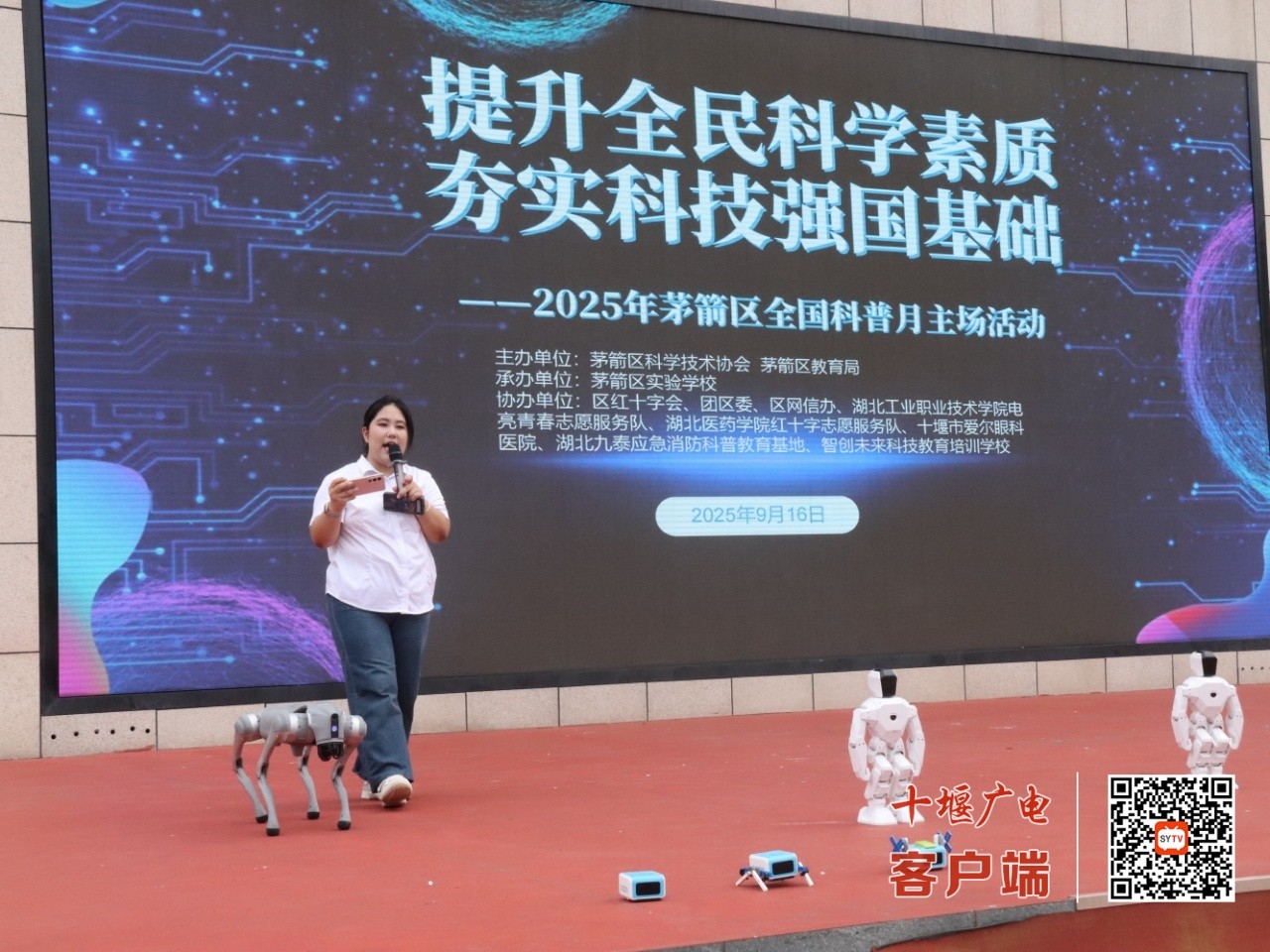 cff1c310bfa278051d7c381460c38e0a