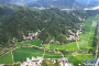 一粒“杂交稻种”串起大别山区富民产业链