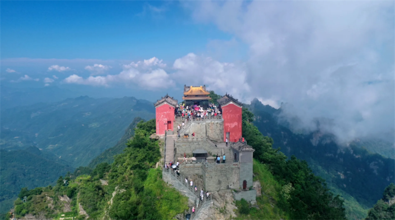 图片7