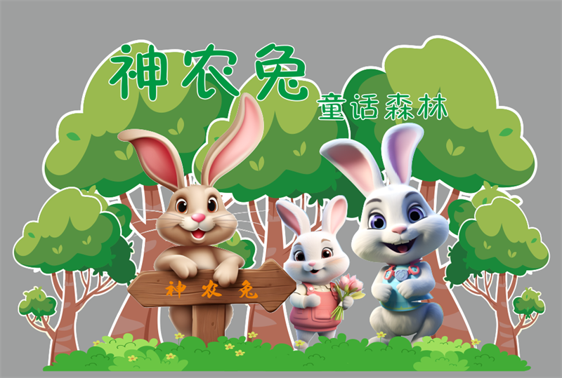图片4