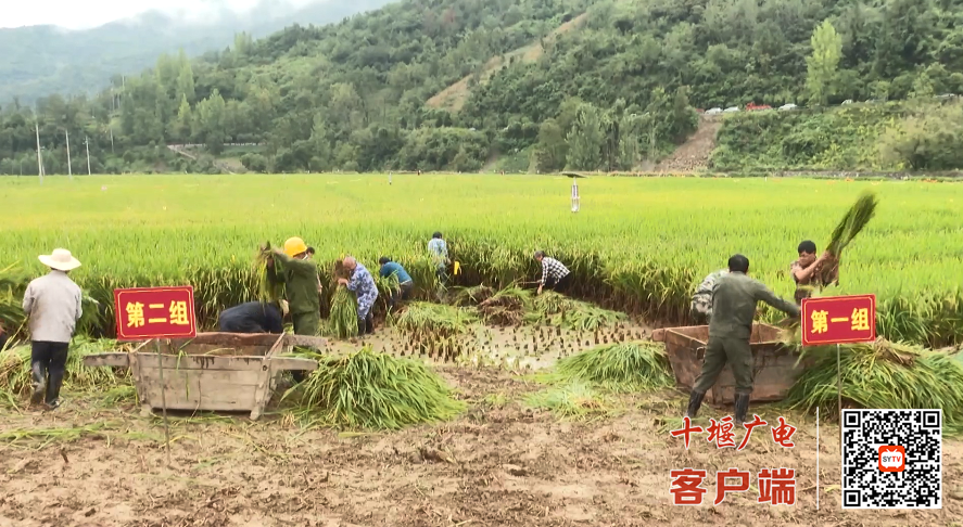 微信图片_2025-09-23_183715_739