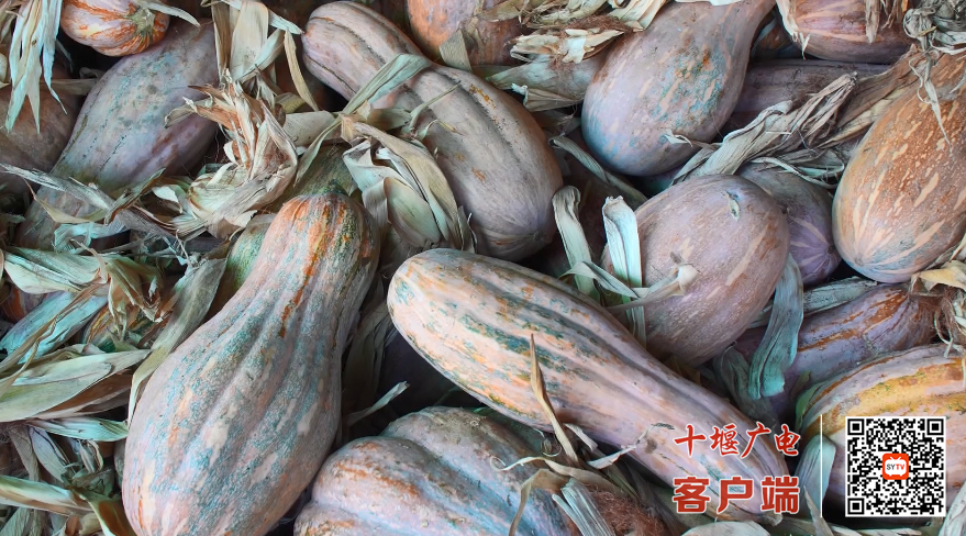 微信图片_2025-09-23_190824_600