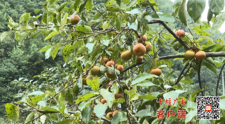微信图片_2025-09-23_191103_027