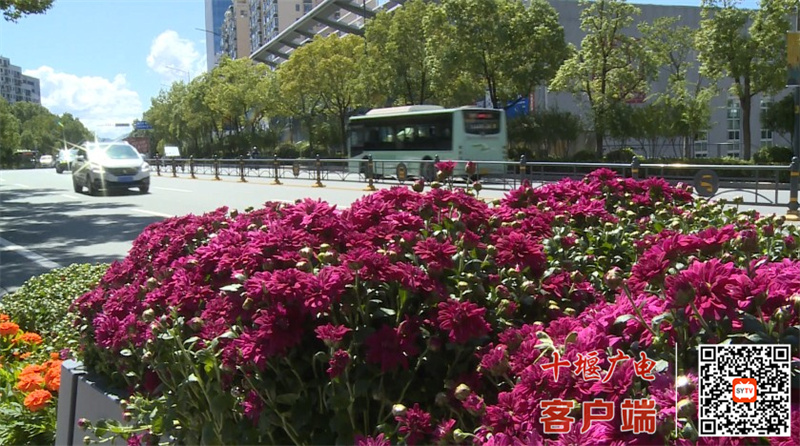 360截图20250924165419566