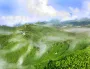 宜昌的它北上，首站为何是这里