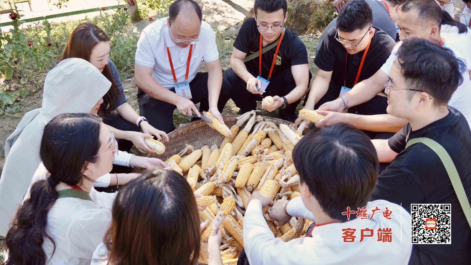 掰玉米_副本_副本