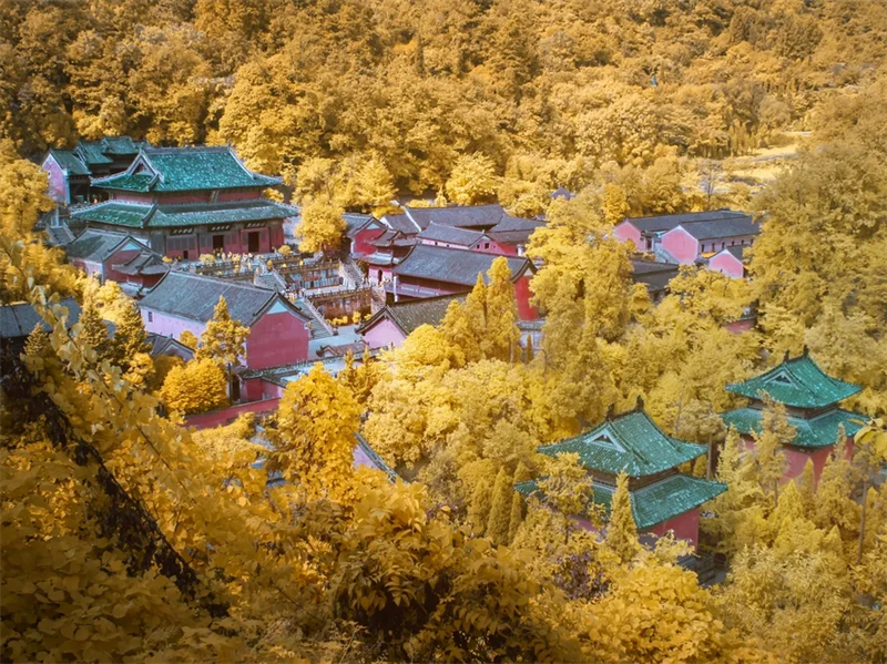 图片 7
