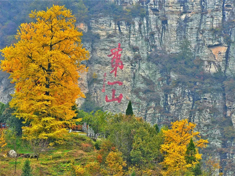 图片 12