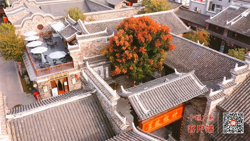 西关印象 (2)