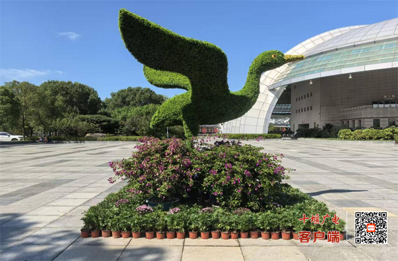 图片2