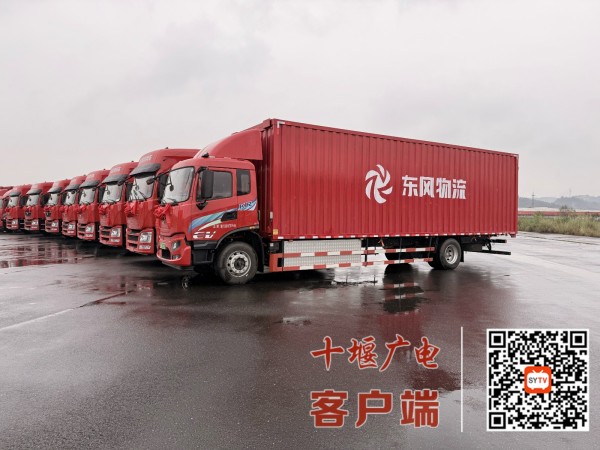 8631758889095_.pic_hd_副本