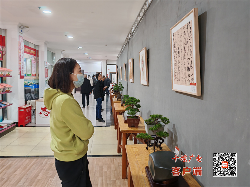 图2
