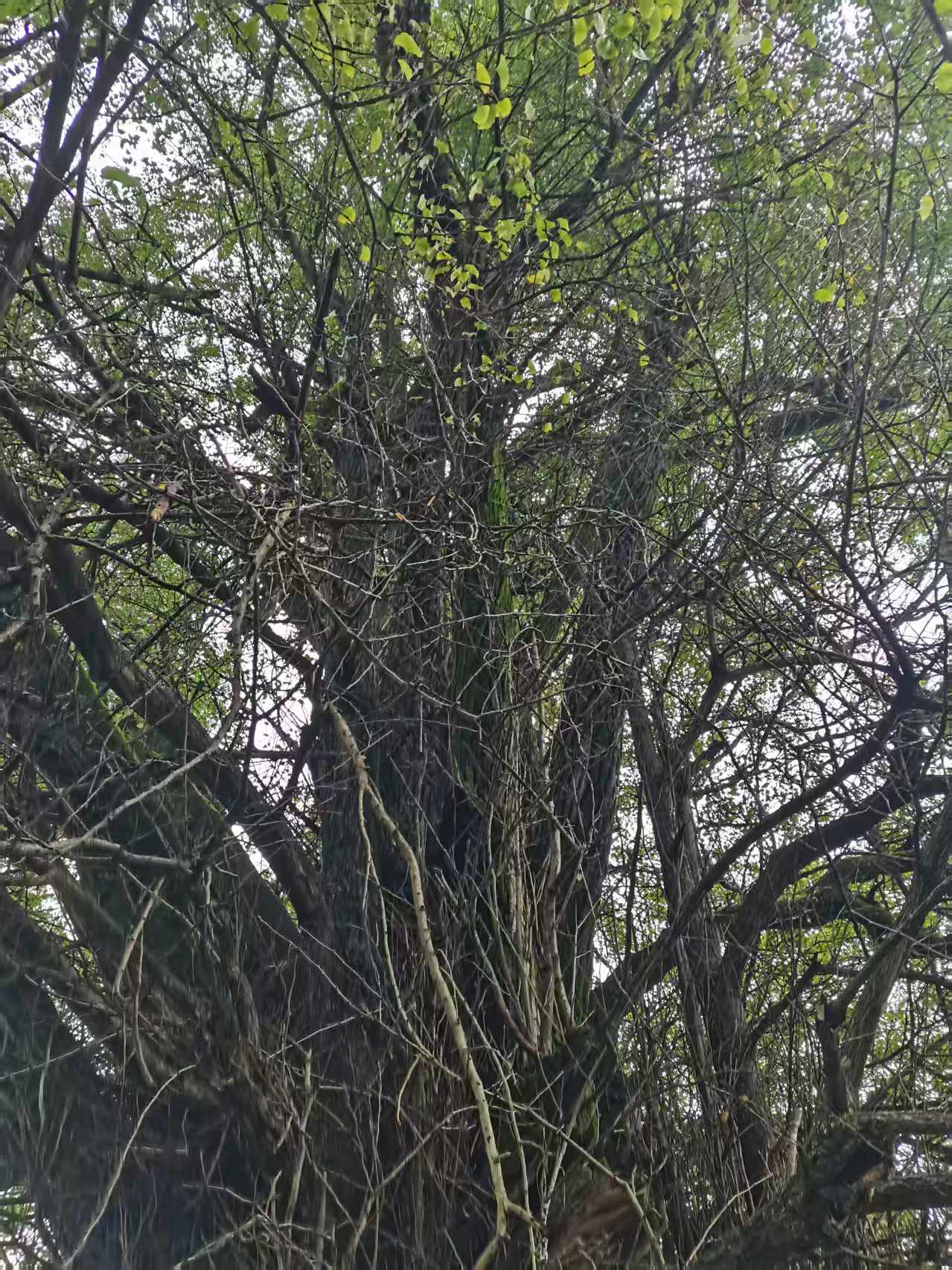 图片3