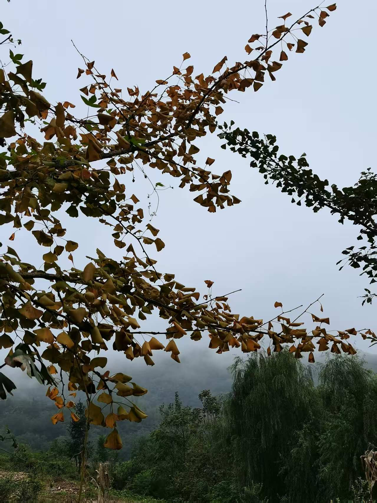 图片4