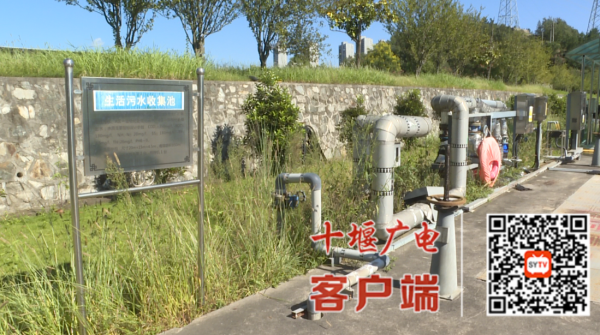 微信图片_20250930104358_副本