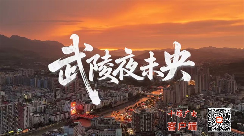 武陵夜未央1