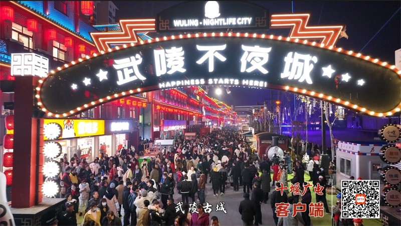 武陵夜未央4