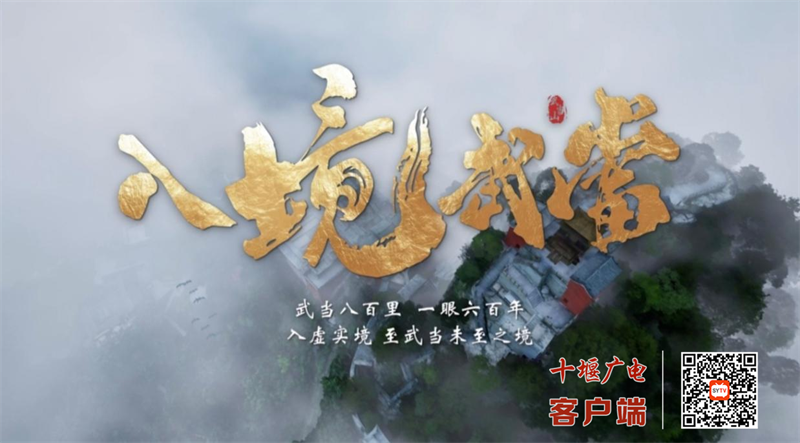 图片6