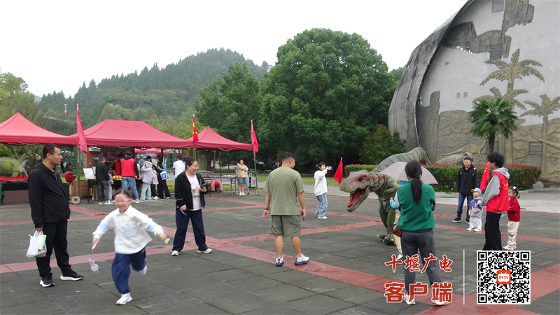 图片13