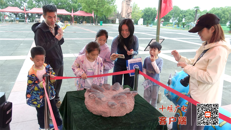 图片16