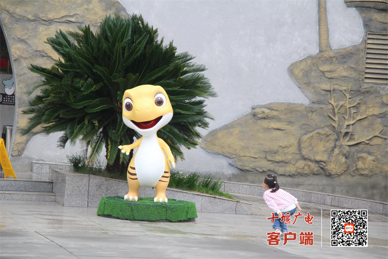 图片17