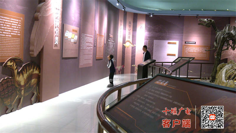 图片15