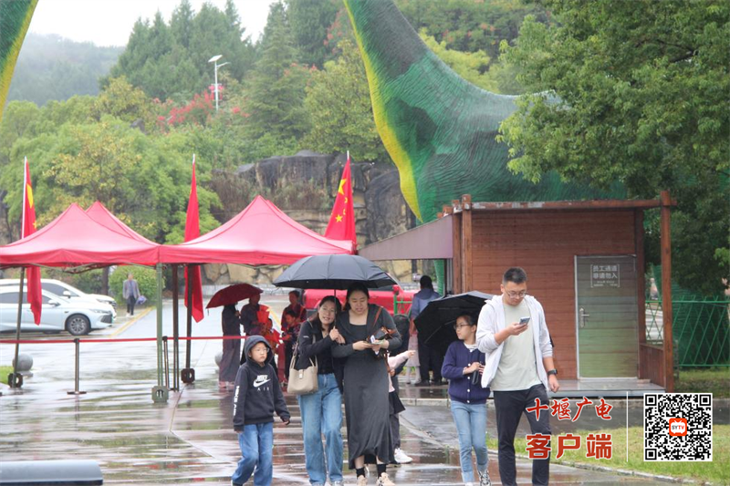 图片 9