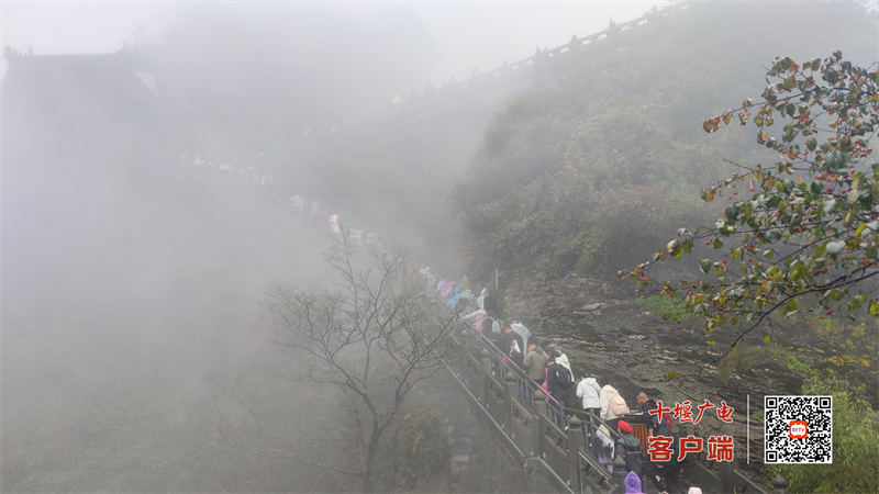 微信图片_20251004091549_530_152